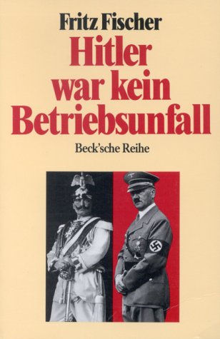 Hitler war kein Betriebsunfall : Aufsätze