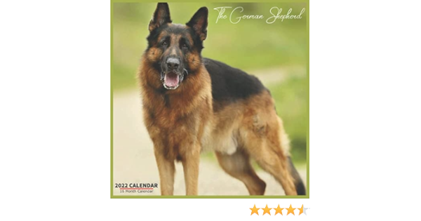 Gsd Calendar 2022 The German Shepherd Calendar 2022: Official The German Shepherd Dogs Calendar  2022, 16 Month Calendar 2022: Star Calendar: 9798517465443: Amazon.com:  Books
