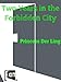 Two Years in the Forbidden City by 