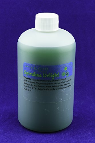 AT Spirulina Delight (8 oz) - Live Arthrospira platensis Phytoplankton Food for Aquarium Animals and Grow at Home kits by Algoid Technologies