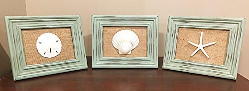 Set of 3, Scallop Shell, Starfish and Sand Dollar Chateau Distressed Picture Frame - Sea Green - 5" x 7", Burlap Background, Beach Decor, Wall Art (Natural Burlap)