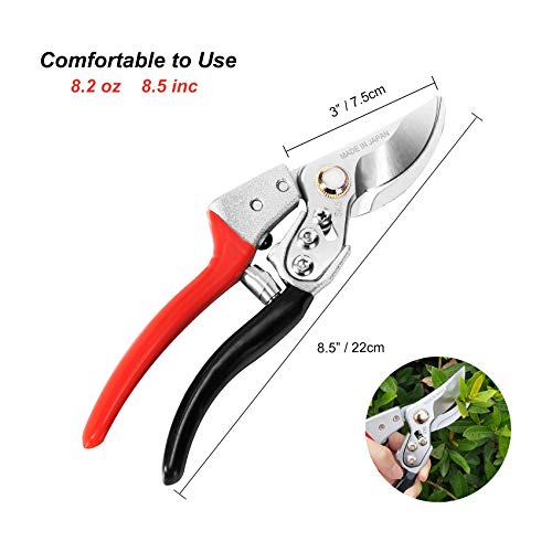TONMA Pruning Shears [Made in Japan] Professional 8 Inch Premium Plant Garden Scissors Secateurs