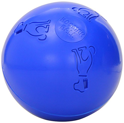 TCOA Boomer Ball Med 6" colors may vary