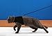 Niteangel 2-Pack of Adjustable Cat Harness with Elastic Leash (M & L, Black)