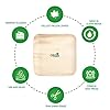 ORGA-ECO-FRIENDLY-PRODUCTS-Palmware-leaf-tableware-I-25-pieces-Palm-Plate-rectangular-25-x-25-cm-I-Bio-Disposable-Crockery-Biodegradable-Party-tableware-disposable-tableware-10-inch-No-of-25-Plates ORGA ECO-FRIENDLY Products Palmware Leaf Tableware I 25 Pieces Palm Plates Rectangular 25 x 25 cm I Bio Disposable…
