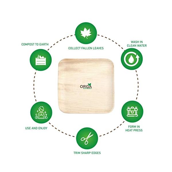 ORGA-ECO-FRIENDLY-PRODUCTS-Palmware-leaf-tableware-I-25-pieces-Palm-Plate-rectangular-25-x-25-cm-I-Bio-Disposable-Crockery-Biodegradable-Party-tableware-disposable-tableware-10-inch-No-of-25-Plates ORGA ECO-FRIENDLY Products Palmware Leaf Tableware I 25 Pieces Palm Plates Rectangular 25 x 25 cm I Bio Disposable…
