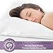 Mulberry Park 100% Silk Pillowcase - 19 Momme, Grade 6A Mulberry Silk - Deep Envelope Closure - White/Queen (20'' x 30'')