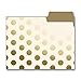 Cream and Gold File Folder Set