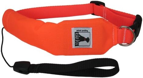 Blaze Orange Release N Run (Small)