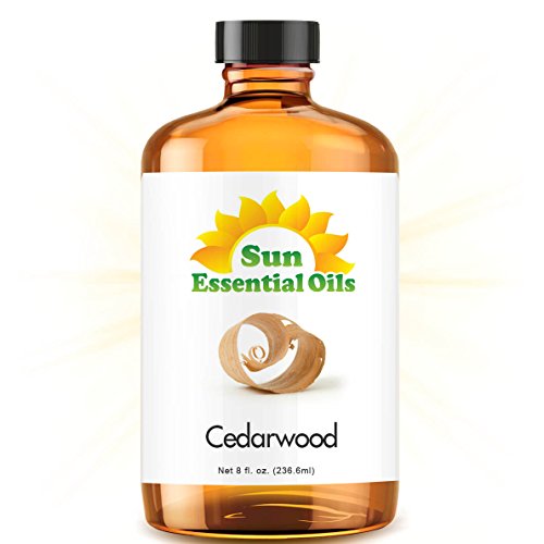 Cedarwood (Huge 8oz) Best Essential Oil