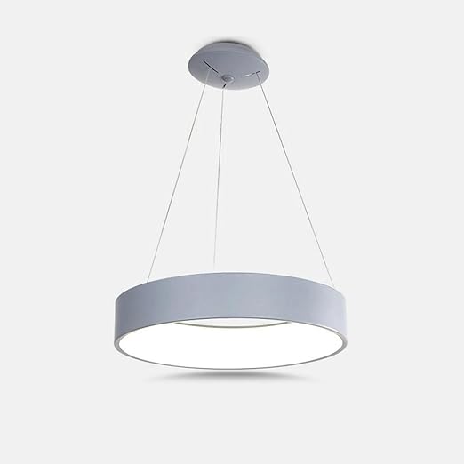 Acrylic Led Pendant Light Modern Simple Round 1 Ring Ceiling