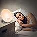 Wake Up Light Alarm Clock Lamp Alarm Clock Radio Sunrise Alarm Clock Fading Sunset with 7 Colors Sleep and Wake Up with PM Radio Light Alarm Clock Alarm Clock for Sleep Kids,Adults (White)