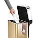 simplehuman 45 Liter / 12 Gallon Trash can, Brass Stainless Steel