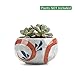 T4U 4.25 Inch Ceramic Japanese Style Clay Serial Red Grass Succulent Plant Pot Cactus Plant Pot Flower Pot Container Planter