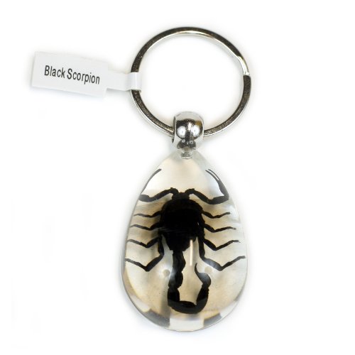 REALBUG Black Scorpion Key Chain Tear Drop Clear