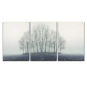 3 Piece Canvas Wall Art - Small Forest in Autumn Foggy Morning - Modern Home Art Stretched and Framed Ready to Hang - 16"x24"x3 Panels