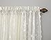 No. 918 Alison Floral Lace Sheer Rod Pocket Curtain Panel, 58