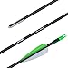 ANTSIR 30 Fiberglass Archery Target Arrows- Practice Arrows for Kids Youth or Begineers on Recurve Bow Long Bow Traditional Bow (Green Vanes Pack of 12)