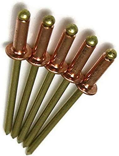 Amazon.com: Copper Pop Rivets 1/8 Diameter Brass Mandrel Blind Rivets