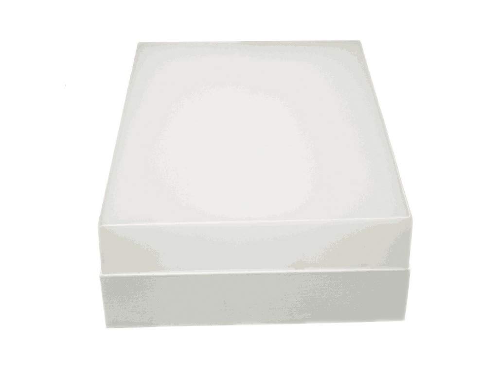 Fbright Led Dwonlight, White