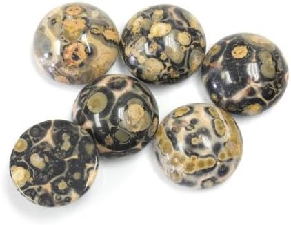 12mm Round Genuine Leopard Skin Agate Calibrated Cabochon 12 Piece Lot Flat Back DIY Jewelry Making