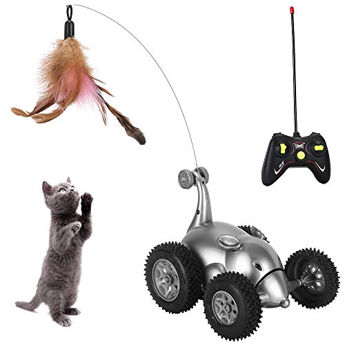 remote control cat car