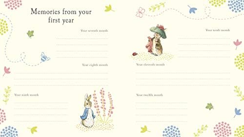 peter rabbit memory book