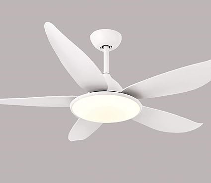 Amazon Com Iv Ydzxx Macaron Series Ceiling Fan Light White