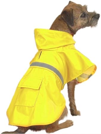 great dane raincoat