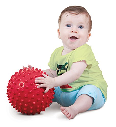 Edushape 7" Sensory Ball, Colors May Vary
