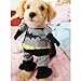 Alfie Pet - Superhero Costume Batman - Size: XS