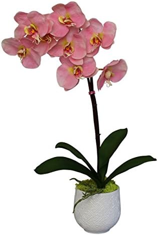 MelroseFields Artifical Pink Phaleanopsis Orchid in Ceramic Pot Lightly Scented with Fragrance Oil