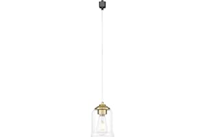 zeyu H Type Track Lighting Pendant, Vintage 1-Light Ceiling Track Hanging Light Fixturs for Dining Room Bedroom, Clear Glass 