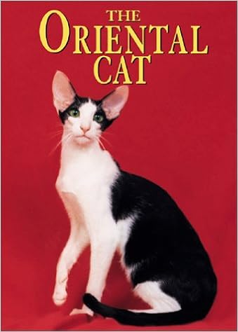 Buy The Oriental Cat Learning About Cats Book Online At Low