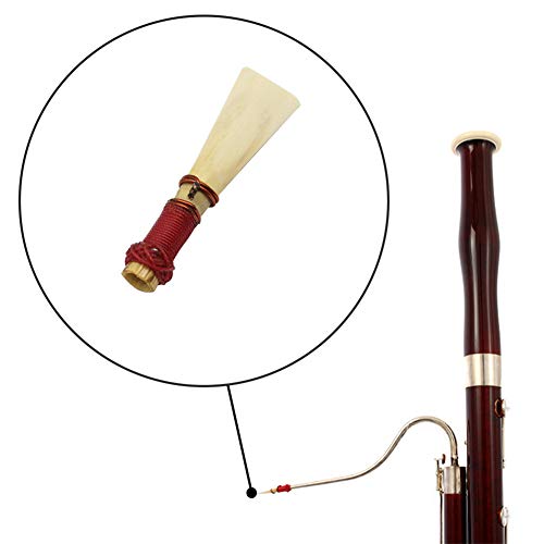 DishyKooker Bassoon Reed Medium Strength Bassoon Reed with Case Bassoon Parts & Accessories