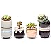 Potaroma Succulent Pots, 6 Pack Premium Ceramic Plant Pots with Drainage, FlowingGlaze Pots for Plants. Succulent-Pots-Planter-Flower-Plants