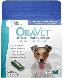 elevated dog bed small