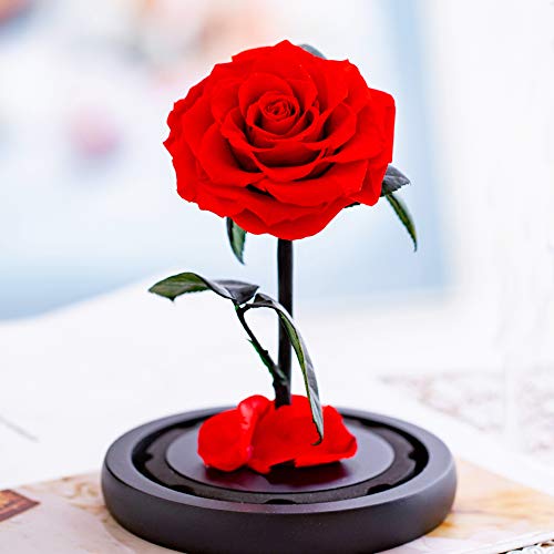 Eternal Flower, Preserved Stemmed Rose Flower in Glass Dome for