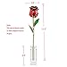 DEFAITH 24k Gold Dipped Rose with Crystal Stand (Red Original)