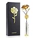 Valentine's Day Gift 24K Gold Foil Rose Flower with Crystal-Clear Vase, Best Love Gift for Women Anniversary, Birthday, Mothers Day