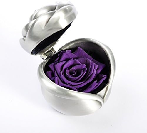Butylee Handmade Preserved Flower Rose, Never Withered Roses, Upscale Immortal Flowers,Gifts For Women,Her,Girls,Sister, Mother's Day,Valentine's Day, Anniversary, Birthday,Wedding –Purple Rose