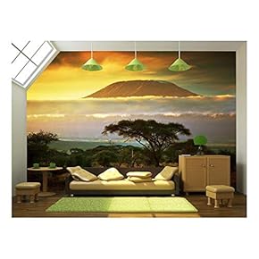 The Green Creeper Plant on a White Wall Creates a Beautiful Background - Removable Wall Mural | Self-Adhesive Large Wallpaper - (66"x96", Artwork - 11)