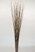 Green Floral Craft | Dried Asian Willow Decorative Branches - Perfect Home Decoration and Floor Vase Filler (4-5 Feet, Natural)