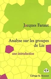 Analyse sur les groupes de Lie