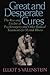 Great and Desperate Cures: The Rise and Decline of Psychosurgery and Other Radical Treatments for Mental Illness