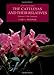 The Cattleyas and Their Relatives, Vol. 1: The Cattleyas by Carl L. Withner
