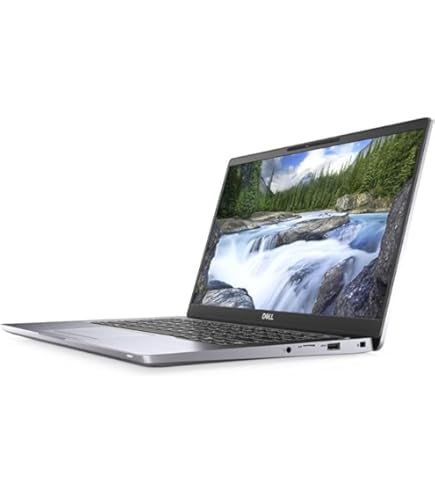 Amazon.com: Dell Latitude 5300 13.3
