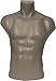 Male Torso Dress Form Mannequin Display Bust Grey (#5027)