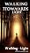 Livro Walking Towards the Light: : A Guide to Overcoming Depression