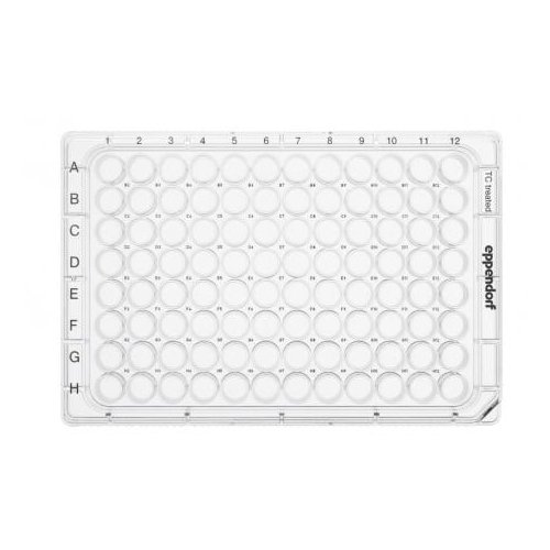 Eppendorf 0030730119 Cell Culture Plate 96Well TC treated flat bottom with lid individually